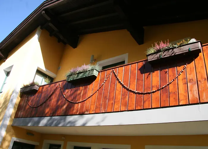 Sendlhofer-hartmann * 巴特霍夫加施泰因